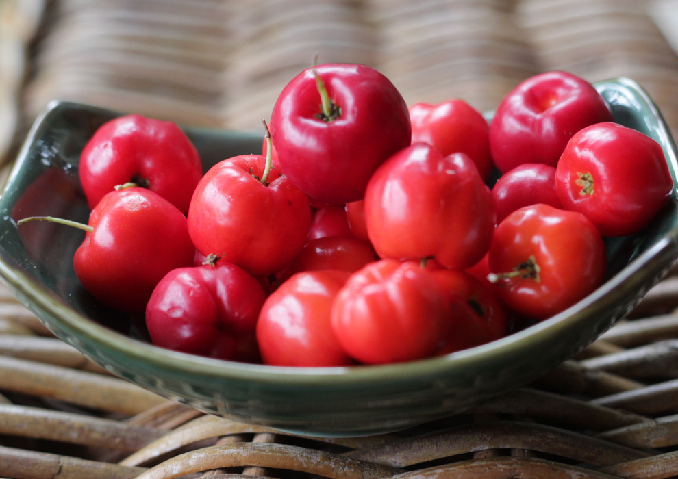 Acerola Vitamina C